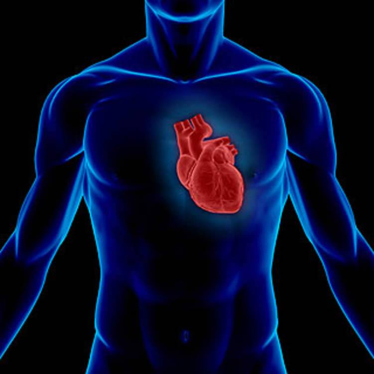 3 أشياء لا تعرفها عن وظيفة القلب