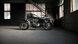 دراجة Harley-Davidson Roadster الجديدة