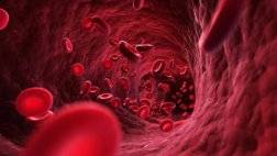 كم لتر دم في جسم الانسان