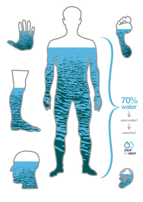 نسبة الماء في جسم الانسان