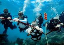 دولة خليجية تحتضن أول قرية في العالم للحفاظ على الشعب المرجانية (صور)