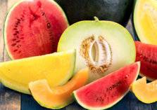 البطيخ أم الشمام - أيهما أكثر ترطيبًا وأكثر فائدة لصحتك في فصل الصيف؟