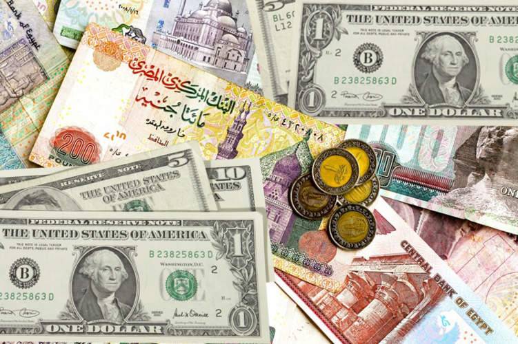 الدولار يقفز إلى 13.10 جنيه مصري