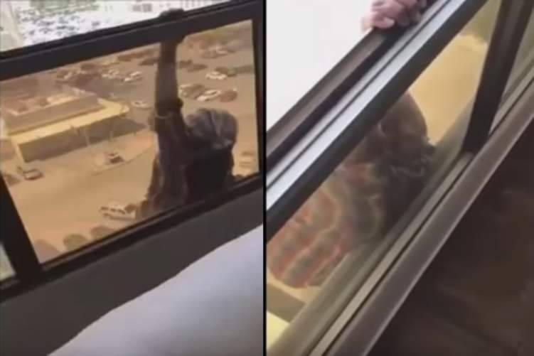 بالفيديو...كويتية تصور سقوط خادمتها من الطابق السابع