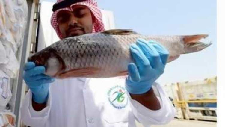 السعودية تحظر استيراد السمك من مصر