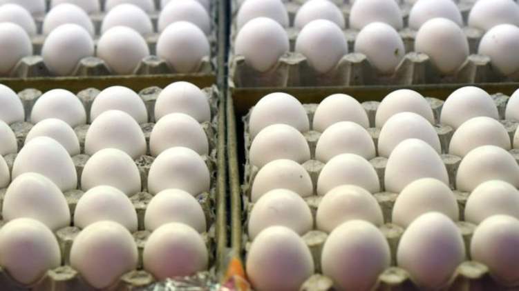 شركة فنزويلية تغري موظفيها بعلاوة تحفيزية 144 بيضة شهرياً