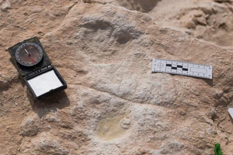 السعودية: اكتشاف آثار أقدام إنسان تعود لأكثر من 85 ألف عام