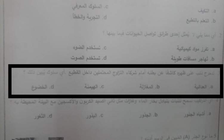الإمارات: سؤال عن "التزاوج" في امتحان الصف السابع يثير غضب ذوي الطلبة