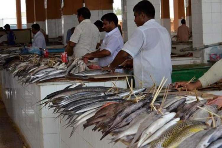 توقعات بإرتفاع أسعار الأسماك في السعودية.. بعد هذا القرار!