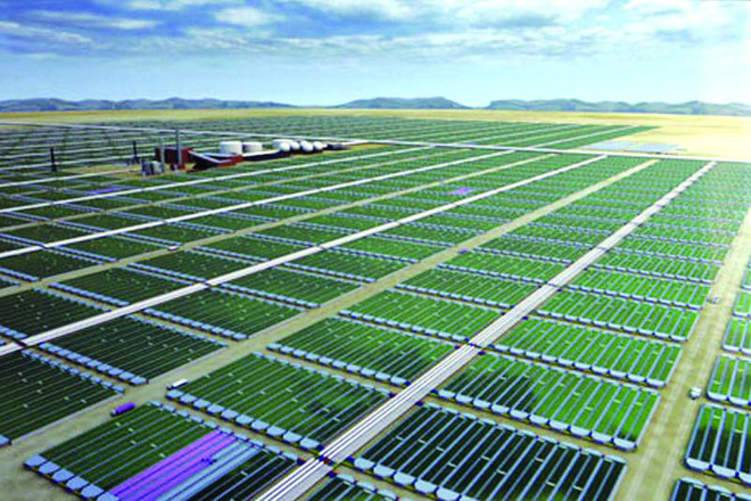 السعودية تتجه لمشروع استزراع «الطحالب» بـ 50 مليون طن