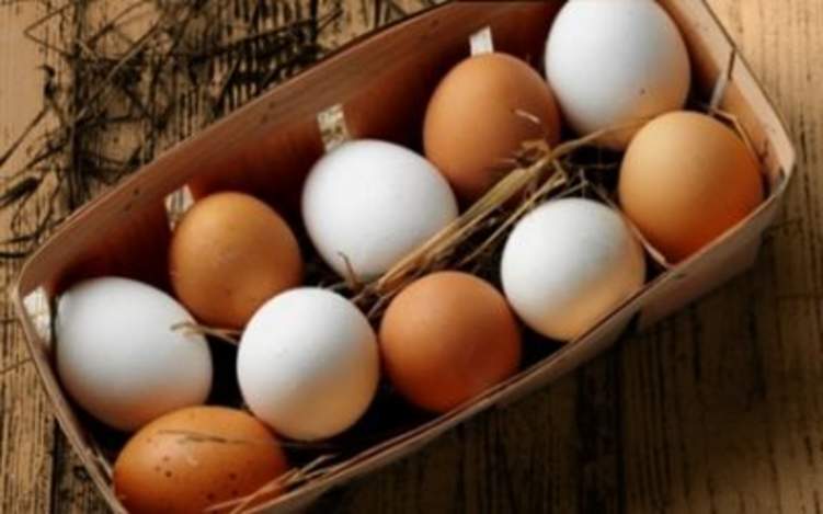 ما الفرق بين البيض البني والأبيض؟ جواب يفاجئ الجميع