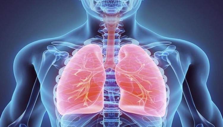 6 نصائح من وزارة الصحة السعودية للوقاية من أمراض الجهاز التنفسي