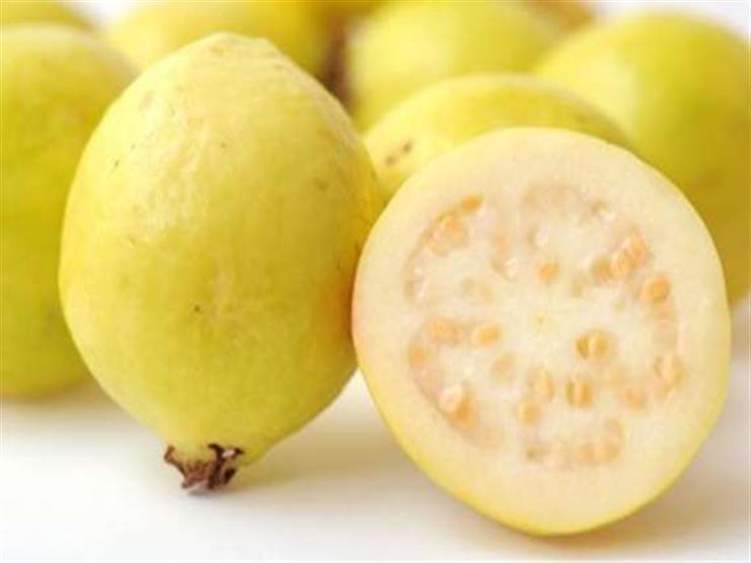 5 فوائد صحية مذهلة لـ "الجوافة"