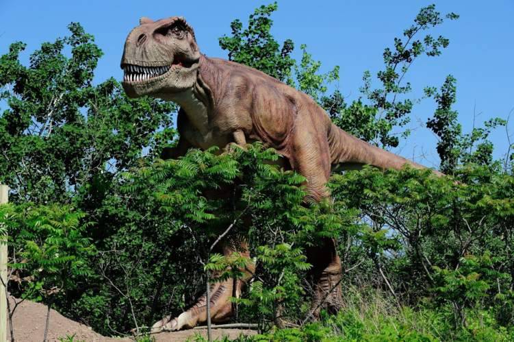 العثور على الديناصور المحارب في نيو مكسيكو