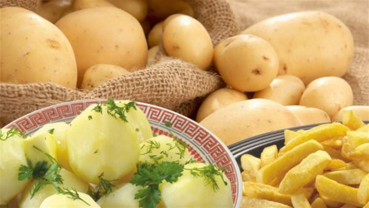 البطاطس بريئة من تهمة السمنة ولكنها تبني العضلات
