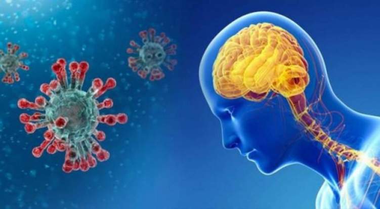 دراسة صادمة: كورونا يغزو خلايا الدماغ كما الرئتين