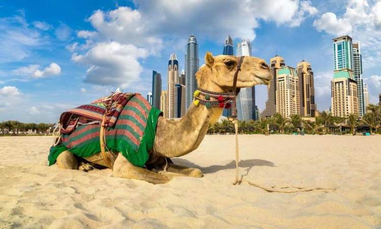 بروتوكولات جديدة للجولات السياحية في الإمارات