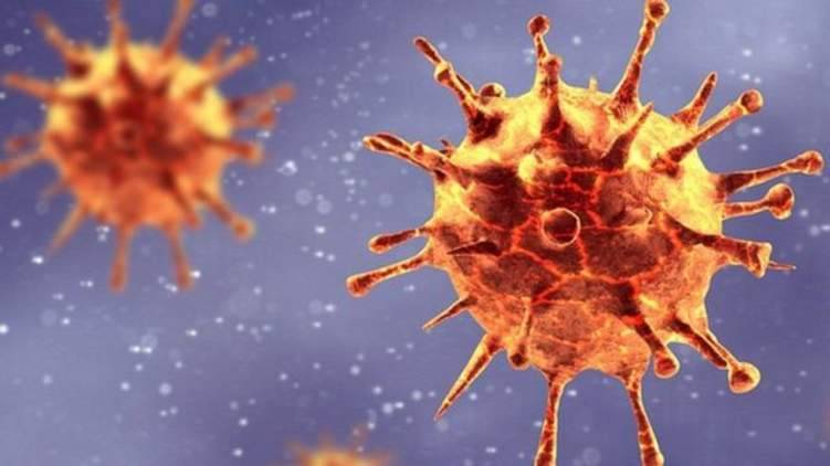 اكتشاف "فيروس" لا شفاء منه في الهند!