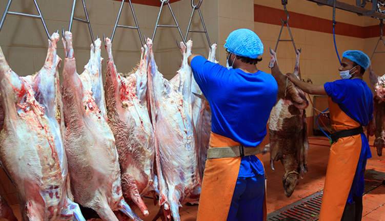 ما أسباب ارتفاع أسعار الدواجن واللحوم في الإمارات؟