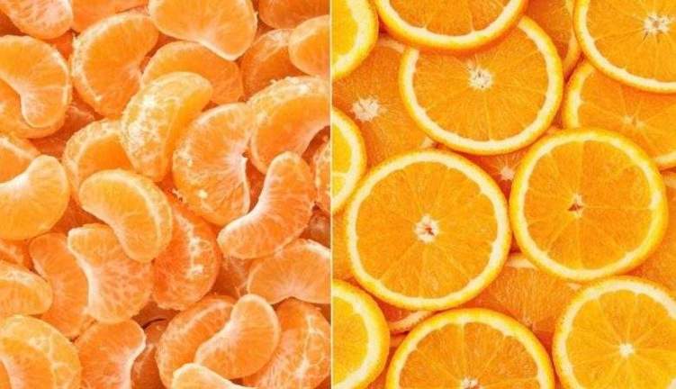 البرتقال VS اليوسفي.. أيهما أفضل لخسارة الوزن؟