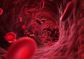 إكتشف كم لتر دم في جسم الإنسان