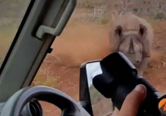 شاهد وحيد القرن يعاقب مصور بشدة داخل سيارة