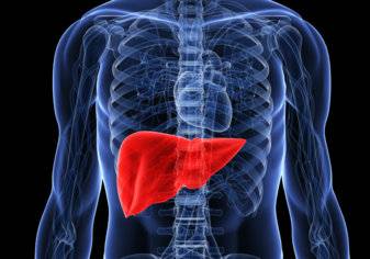 الكبد في جسم الانسان: وظائفها وأبرز أمراضها