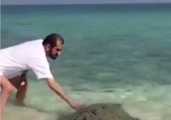 بالفيديو.. حاكم دبي محمد بن راشد ينقذ سلحفاة البحر