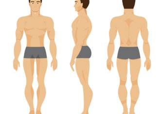 أنواع الأجسام: دليل الأكل والتمارين المناسبة حسب نوع جسمك