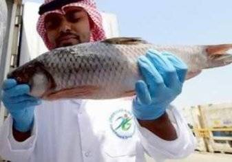 السعودية تحظر استيراد السمك من مصر