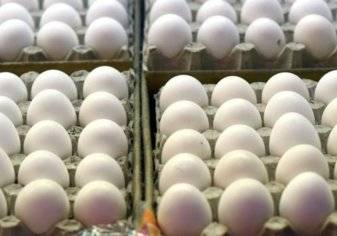 شركة فنزويلية تغري موظفيها بعلاوة تحفيزية 144 بيضة شهرياً