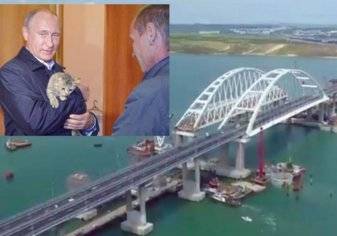 حكاية القطة التي أفسدت على بوتين تدشين جسر القرم الذي كلف 4 مليار