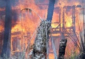 بالصور: حريق هائل يلتهم مزرعة نخيل في تبوك