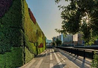 دبي تحتضن أكبر جدار أخضر في الشرق الأوسط