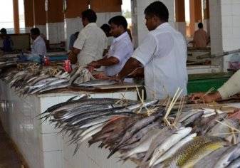 السعودية: إرتفاع أسعار الأسماك الحمراء لـ 30%... والسبب؟