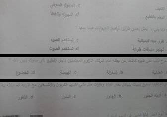 الإمارات: سؤال عن "التزاوج" في امتحان الصف السابع يثير غضب ذوي الطلبة