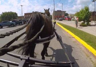 آخر تقاليع خدمة نقل الركاب..  "أوبر" للتوصيل بحصان وعربة (فيديو)