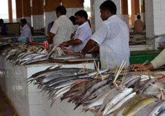 توقعات بإرتفاع أسعار الأسماك في السعودية.. بعد هذا القرار!