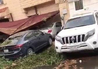 شجرة ضخمة تسقط على 3 سيارات في جدة (صور)