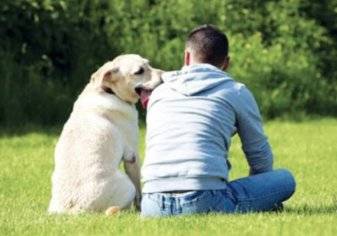 تربية الكلاب أسرع طريقة في العثور على الحب!