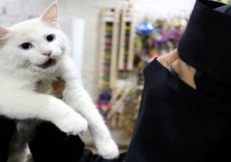 نساء في السعودية يبتكرن مشروعاً لإيواء قطط وكلاب الشوارع
