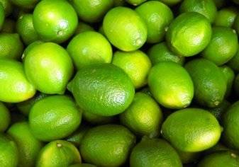 اقتصاد  مفاجأة في أزمة أسعار الليمون المصري