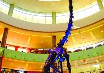 في دبي.. هيكل ديناصور للبيع بـ 14.6 مليوناً