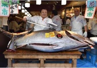 بيع سمكة تونة مقابل 1.8 مليون دولار