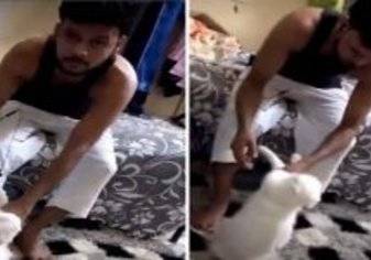 فيديو صادم: شاب يعذب قطة في السعودية