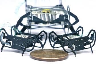شاهد.. أصغر روبوت في العالم مستوحى من الصرصور