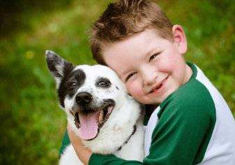 كيف تؤثر تربية الكلاب على سلوكيات أطفالنا؟