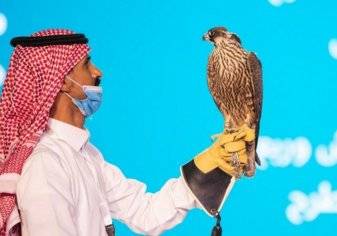 منافسة سعودية لكسر الرقم القياسي لأسرع صقر