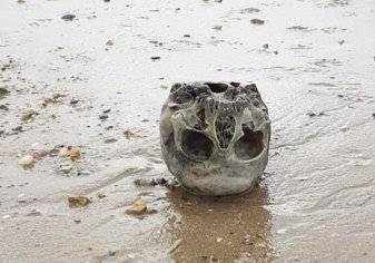 جمجمة بشرية على الشاطئ.. ما حكايتها؟