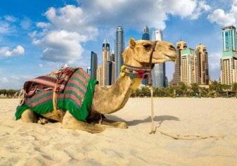بروتوكولات جديدة للجولات السياحية في الإمارات